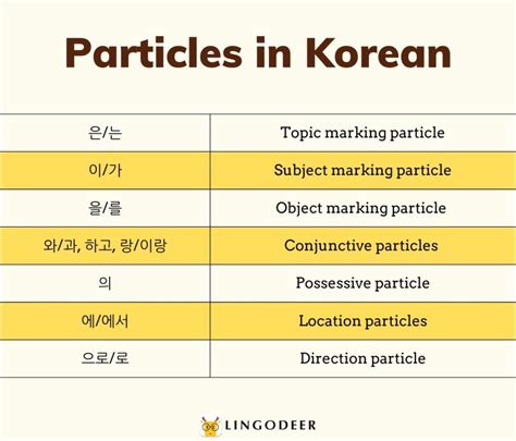 A Complete Guide to Korean Particles (With Examples) - LingoDeer