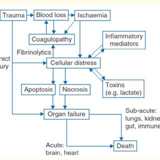 Hemorrhagic Shock Flow Chart