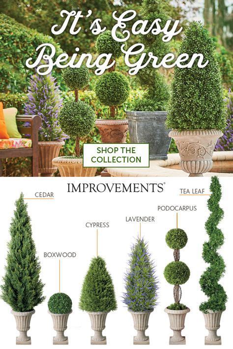 Top 10 topiary trees ideas and inspiration