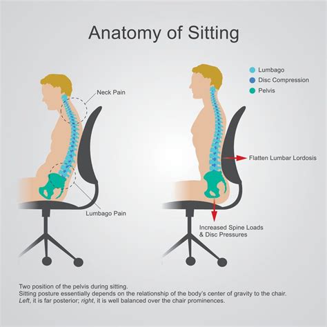 What is the Correct Ergonomic Sitting Posture in the Office? (2022)