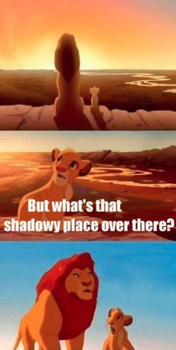 Simba Shadowy Place Blank Meme Template - Imgflip