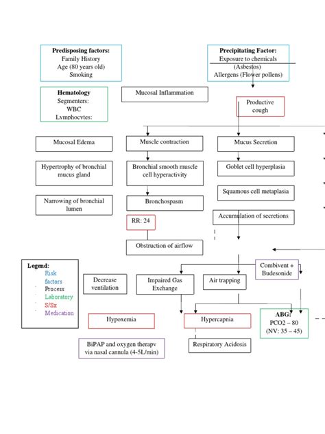 Bronchial Asthma Pathophysiology