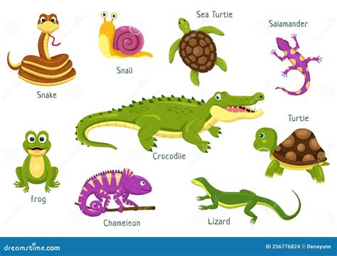 Set of Animal Reptile Template Hand Drawn Cartoon Flat Illustration ...