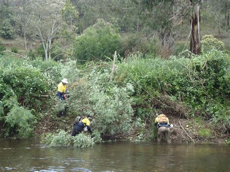 Invasive Species & Feral Animal Control in Victoria, Australia - GKEPS