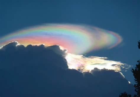 Discoveries • nubbsgalore: iridescent pileus cloud photos...