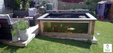 Indoor Koi Pond Kits