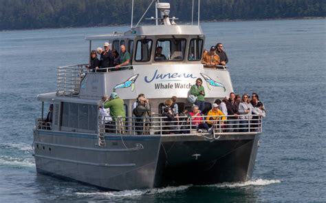 Juneau Cruise Port, Alaska: Overview and Guide