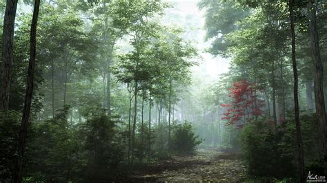 ArtStation - Foggy woods