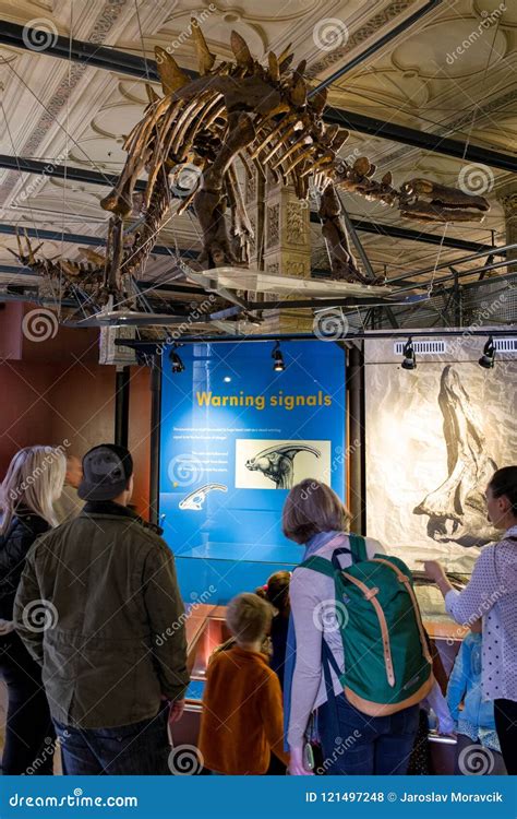 Dinosaur Skeleton and Visitors Editorial Stock Photo - Image of ...