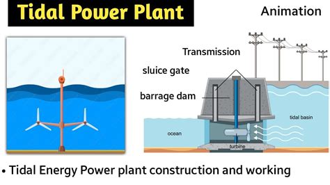 tidal energy | tidal power plant in hindi | animation | working ...