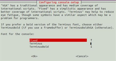 How to Change Your Console Fonts In Ubuntu [Geeks Trick]