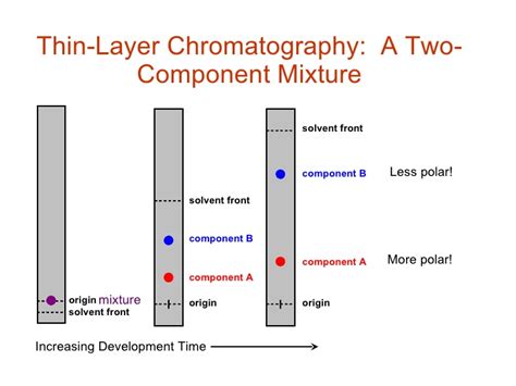 Chromatography Phases