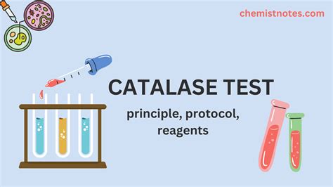 Catalase Test: Principle, Reagent, Protocol, Application - Chemistry Notes