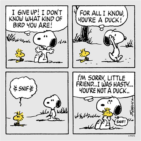 PEANUTS on Twitter | Snoopy and woodstock, Snoopy cartoon, Snoopy comics