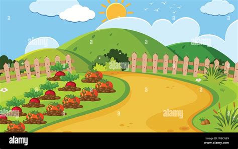 Landscape background design of vegetable garden illustration Stock ...