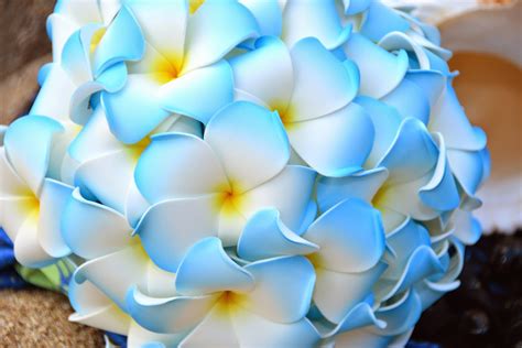 Hawaii Wedding Flowers: Blue Plumeria Bouquet