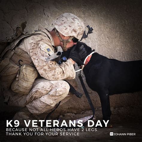 K9 VETERANS DAY Because not all heros have 2 legs. Thank you for your ...