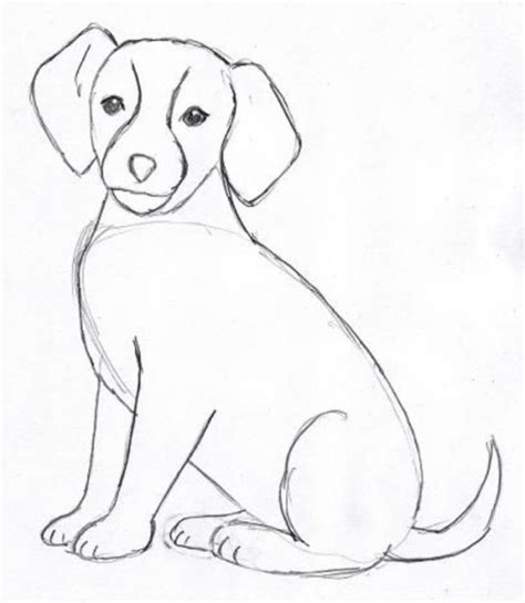 dog pencil drawing outline - Newton Easterling