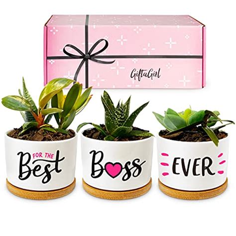 31 Best Gifts for Female Bosses of 2021 - Unbelievable Gifts!