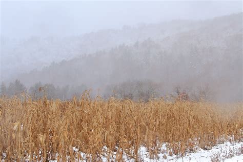 Early Fall Snow in Boone NC | VisualRecap.com