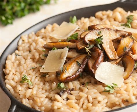 Wild Mushroom Risotto - Daisy Brand - Sour Cream & Cottage Cheese