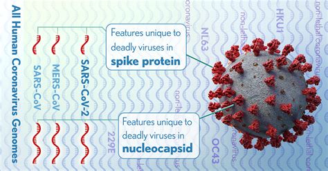 CIENCIASMEDICASNEWS: NIH researchers identify key genomic features that ...