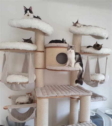 10 Amazing Cat Trees You Have to See