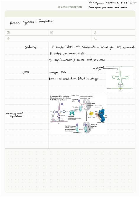 Protein Synthesis 230405 131420 - Introduction to Biochemistry and the ...