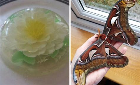 People Are Sharing Their Most Unusual Hobbies (30 Pics) | DeMilked