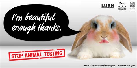 Testing Cosmetics on Animals. The practice of testing cosmetics on ...