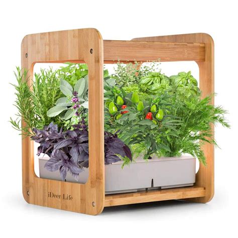 Best Indoor Herb Garden Kit for Beginner Gardeners