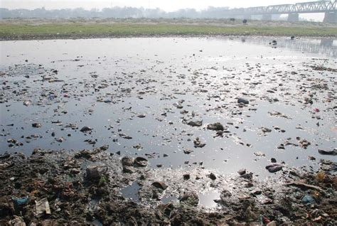 351 polluted river stretches in India: A list across states