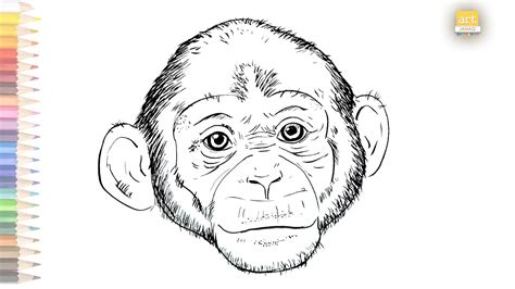 Realistic Monkey Drawing