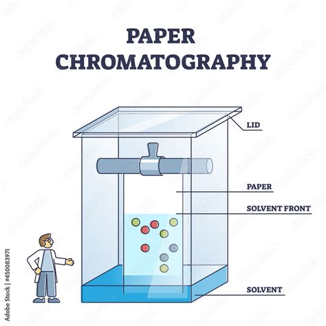 Paper chromatography method to separate colored chemicals outline ...