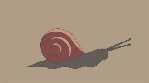 snail gifs Page 2 | WiffleGif