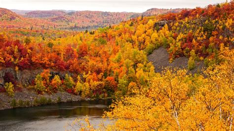 Fall color preview: Where and when to see the best foliage in Minnesota ...