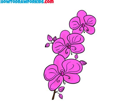 How to Draw an Orchid - Easy Drawing Tutorial For Kids