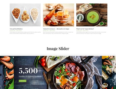 Recuidi - Healthy Food Store Magento Theme - TemplateMonster