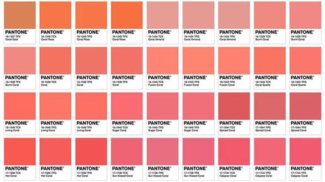 Pantone kleur 2019 is bekend: Living Coral | Couleur pantone, Pantone ...