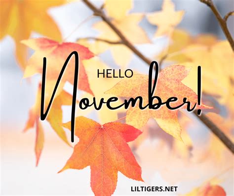 100 Inspirational Hello November Quotes, Sayings & Wishes 2022