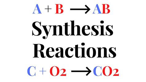 What Word Describes the Synthesis Reactions in the Body