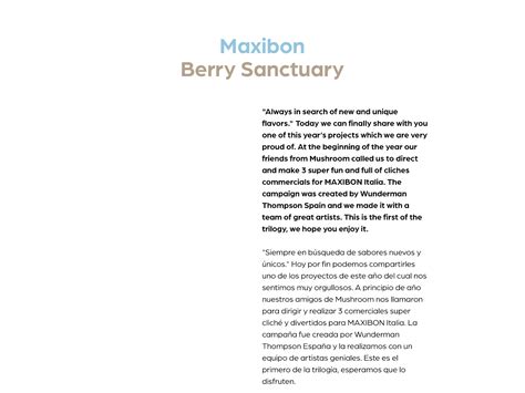 Maxibon :: Behance