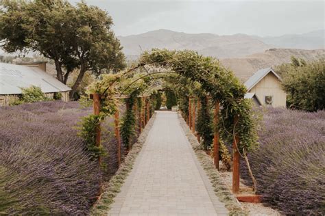 Which Wedding Vendors Should You Book First? - sarahwoodsphoto.com