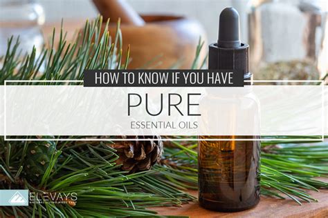 How to Know If You Have Pure Essential Oils - Elevays