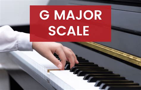 G Major Scale On The Piano - Notes, Fingerings & More