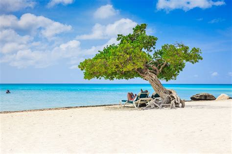 10 Best Beaches in Aruba - What Is the Most Popular Beach in Aruba ...