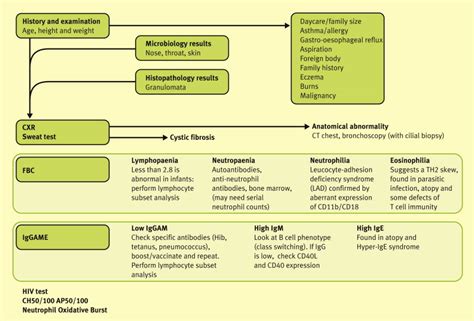 Investigation of recurrent infection - Paediatrics and Child Health