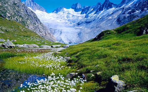 Download Snow Spring Flower Mountain Nature Landscape HD Wallpaper