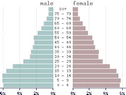 Population and Housing Census 2021 | Tonga Statistics Department