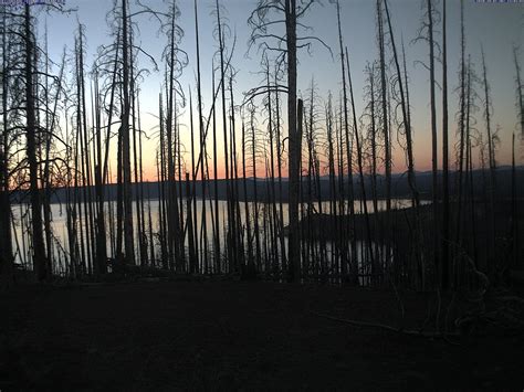 Yellowstone Park News: New Webcam